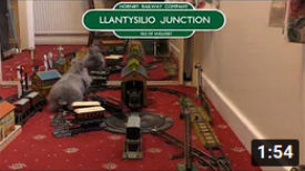 Rabbits on the Track at Llantysilio Junction