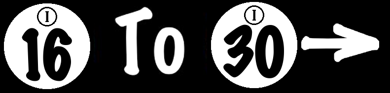 To World Bingo Numbers 16 To 30