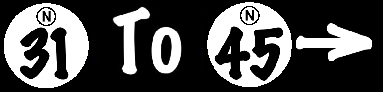 To World Bingo Numbers 31 To 45