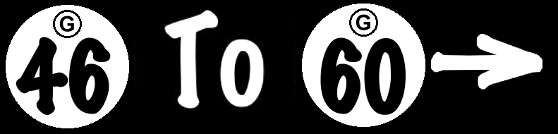 To World Bingo Numbers 46 To 60