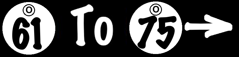 To World Bingo Numbers 61 To 75